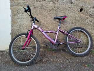 Bicicleta infantil morada