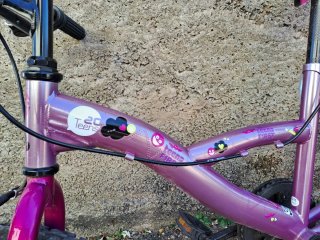 Bicicleta infantil morada
