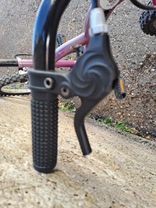 Bicicleta infantil morada