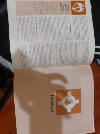 Enciclopedia Médico en casa, Hijos, Bricolaje, ...