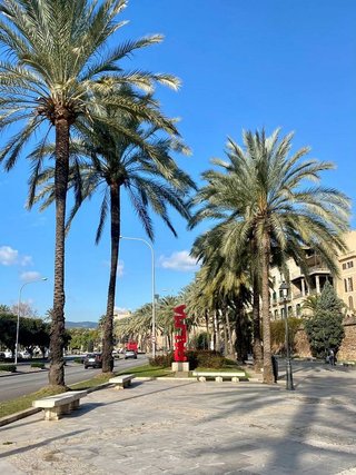 Ático en alquiler en La Seu - Cort - Monti-sión en Palma de Mallorca