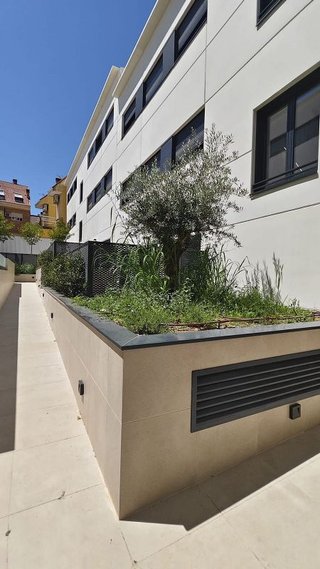 Piso en alquiler en Zona Pueblo en Pozuelo de Alarcón