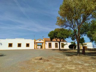 Cortijo en venta en Morón de la Frontera