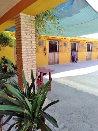 Cortijo en venta en Morón de la Frontera