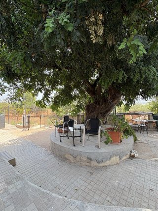 Alquiler vacacional