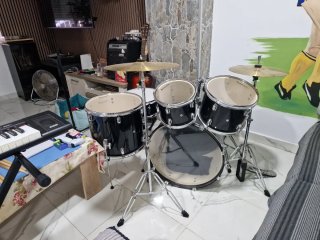 Instrumentos musicales para inicios..