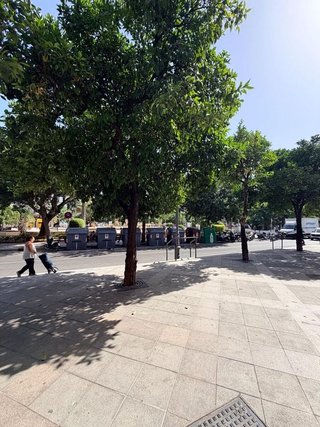 Local comercial en venta en Centro en Jerez de la Frontera