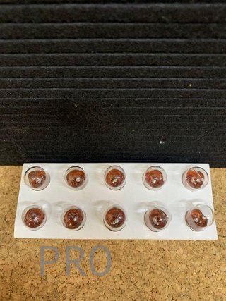 OSRAM TRUCKSTAR PRO R5W