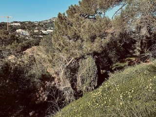 Terreno en venta en Montemayor-Marbella Club en Benahavís