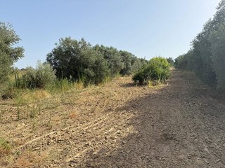 Terreno en venta en Rociana del Condado