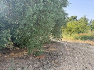 Terreno en venta en Rociana del Condado