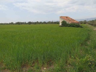 Terreno en venta en Ulldecona