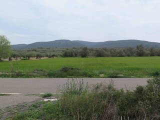 Terreno en venta en Ulldecona