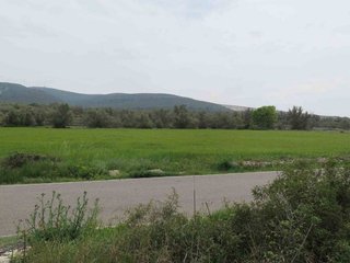 Terreno en venta en Ulldecona