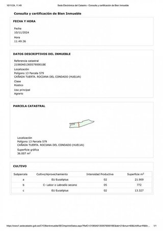 Terreno en venta en Rociana del Condado