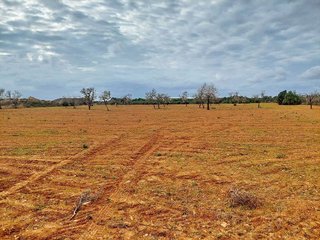 Solar en venta en Campos