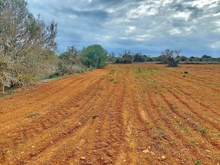 Solar en venta en Campos