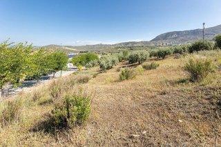 Terreno en venta en Alfacar