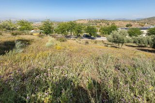 Terreno en venta en Alfacar