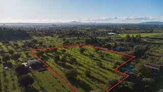 Solar en venta en Selva