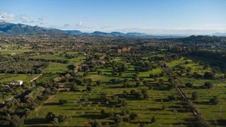 Solar en venta en Selva