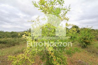 Terreno en venta en Alcalà de Xivert pueblo en Alcalà de Xivert