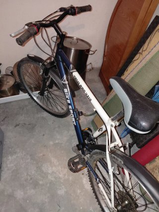 Bicicleta de montaña TEAM PRO 421D