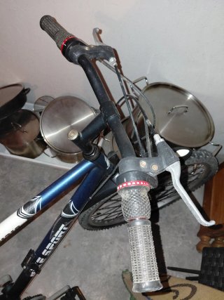 Bicicleta de montaña TEAM PRO 421D