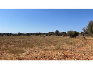 Solar en venta en Es Llombards en Santanyí