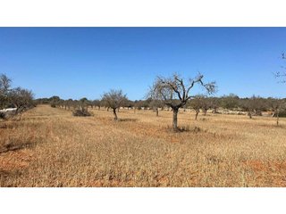 Solar en venta en Es Llombards en Santanyí