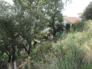 Terreno en venta en Dosrius