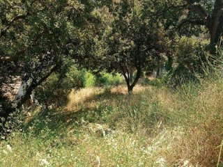 Terreno en venta en Dosrius