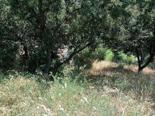 Terreno en venta en Dosrius