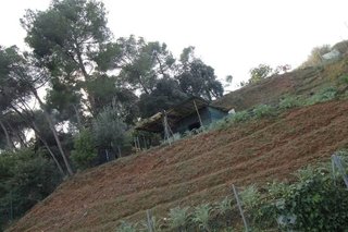 Terreno en venta en Montornès del Vallès