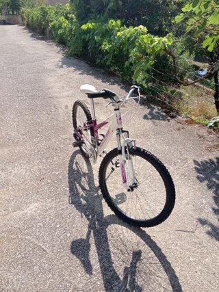 Bicicleta Montaña Niña 24 COLUER