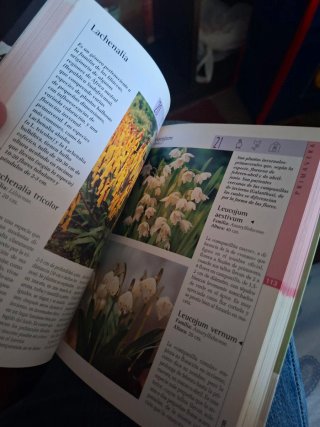 Bulbos / Bulb: Genios De La Ciencia Y La Astrol...