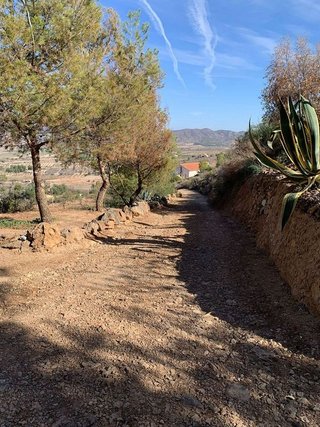 Casa rural en venta en La Hoya-Almendricos-Purias en Lorca