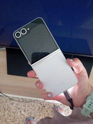 Samsung Galaxy Z Flip 6 - Pantalla interna rota