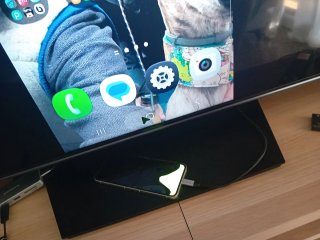 Samsung Galaxy Z Flip 6 - Pantalla interna rota