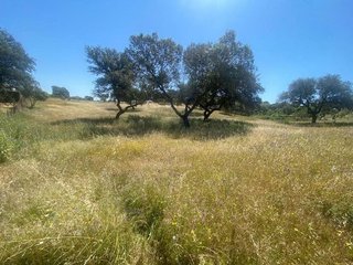 Solar en venta en Las Vaguadas - Urb. del Sur en Badajoz