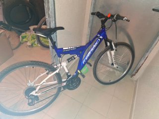 Bicicleta de Montaña