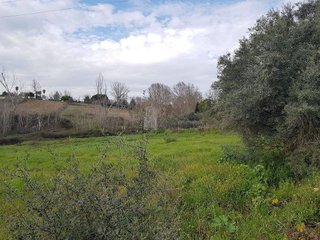 Terreno en venta en Coria