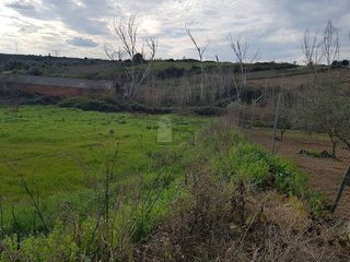 Terreno en venta en Coria