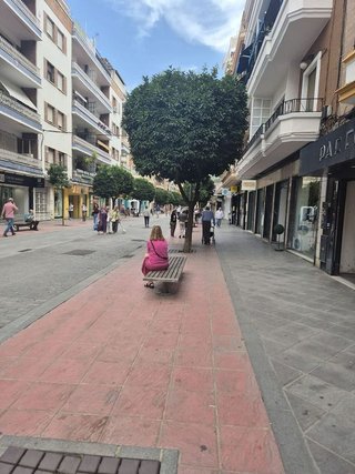 Local comercial en alquiler en Los Remedios en Sevilla