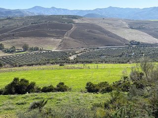 Chalet en venta en Álora