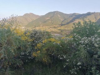 Terreno en venta en Santiago del Teide en Santiago del Teide
