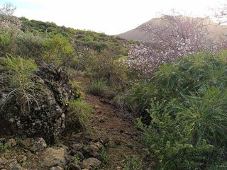 Terreno en venta en Santiago del Teide en Santiago del Teide
