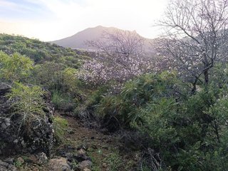 Terreno en venta en Santiago del Teide en Santiago del Teide