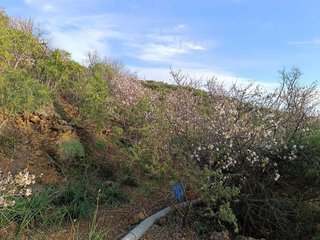 Terreno en venta en Santiago del Teide en Santiago del Teide