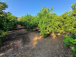 Terreno en venta en Calicanto - Cumbres de Calicanto - Santo Domingo en Torrent